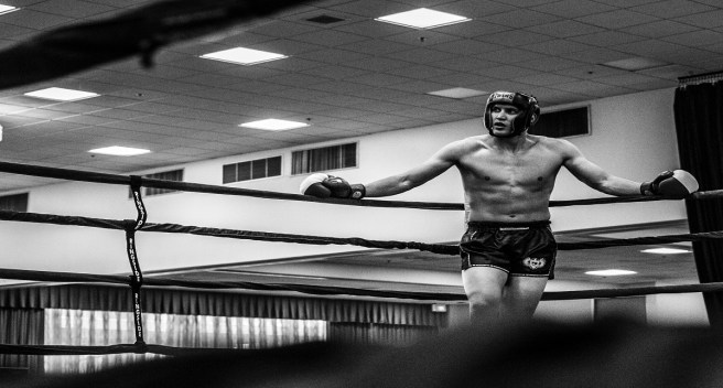 BOXER_wade-austin-ellis-672662-unsplash_1200 X 644